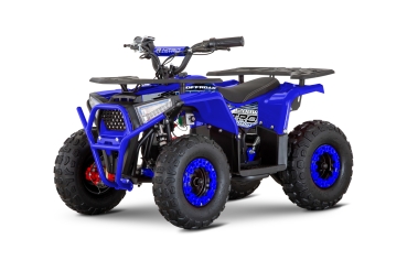 Preview: NITRO E-QUAD NERINO 1200W 48V mit BTF2 Reifen